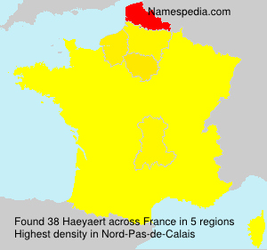 Haeyaert Haeyaert