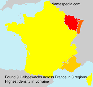 Surname Halbgewachs in France Surname Halbgewachs in France