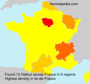 Surname Halloui in France Surname Halloui in France