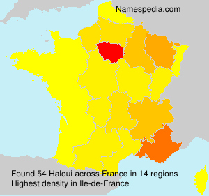 Surname Haloui in France Surname Haloui in France