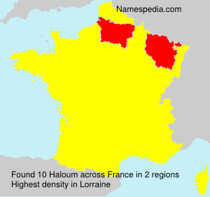 Surname Haloum in France Surname Haloum in France