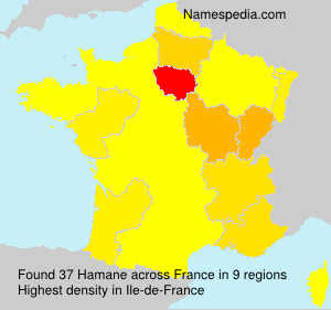 Surname Hamane in France