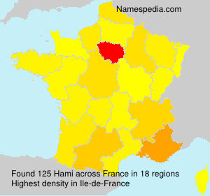 Surname Hami in France Surname Hami in France
