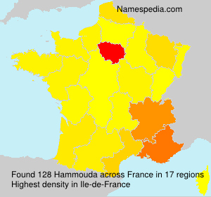 Hammouda Hammouda