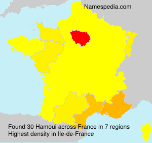 Surname Hamoui in France Surname Hamoui in France