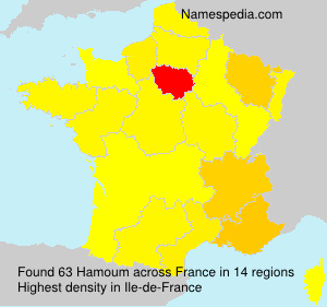 Surname Hamoum in France Surname Hamoum in France