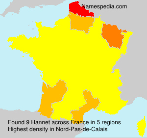 Surname Hannet in France Surname Hannet in France