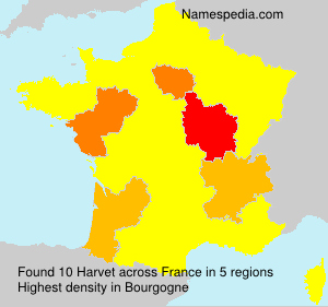 Harvet Harvet