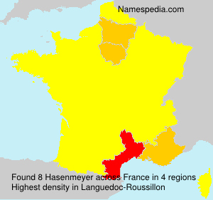 Surname Hasenmeyer in France Surname Hasenmeyer in France
