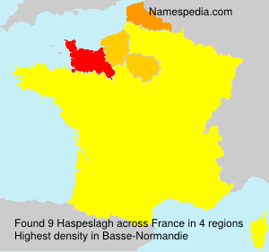 Surname Haspeslagh in France Surname Haspeslagh in France