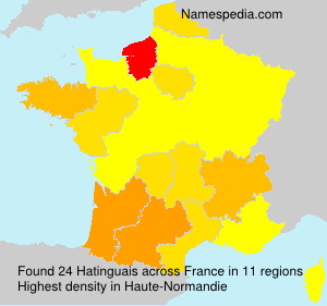 Surname Hatinguais in France Surname Hatinguais in France