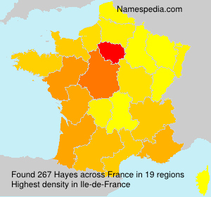 Surname Hayes in France Surname Hayes in France