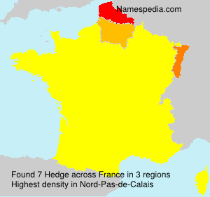 Hedge Hedge
