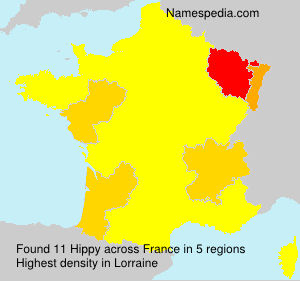 Surname Hippy in France