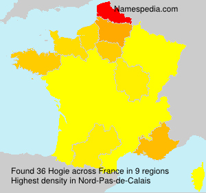 Surname Hogie in France Surname Hogie in France