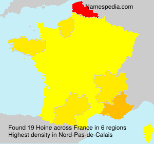 Surname Hoine in France