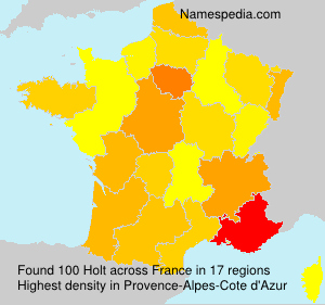 Surname Holt in France Surname Holt in France