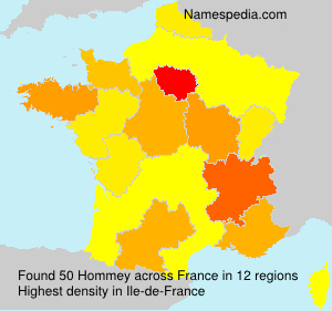 Hommey Hommey