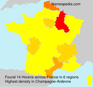 Surname Horens in France