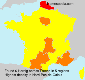 Surname Hornig in France Surname Hornig in France