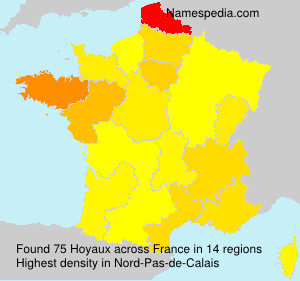Surname Hoyaux in France Surname Hoyaux in France