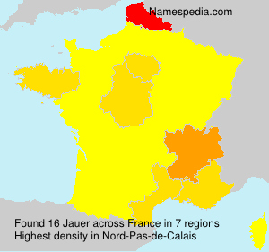 Surname Jauer in France Surname Jauer in France