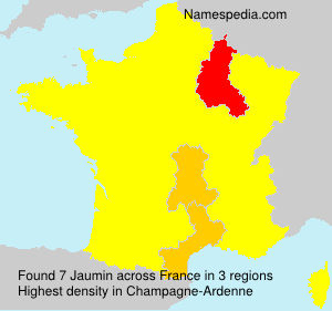 Surname Jaumin in France Surname Jaumin in France