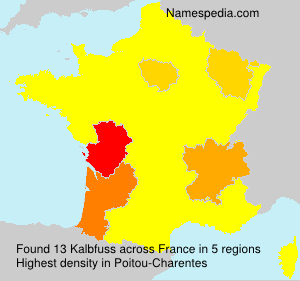 Surname Kalbfuss in France Surname Kalbfuss in France