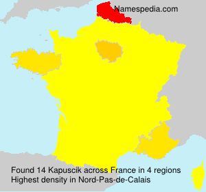 Surname Kapuscik in France Surname Kapuscik in France