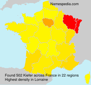 Surname Kiefer in France Surname Kiefer in France
