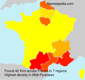 Surname Kint in France Surname Kint in France