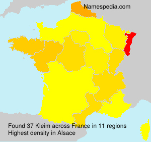 Surname Kleim in France Surname Kleim in France