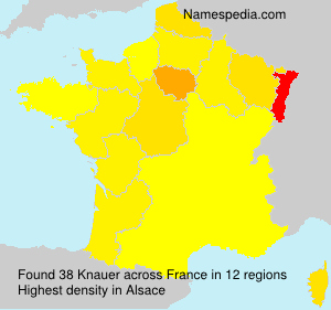 Surname Knauer in France Surname Knauer in France