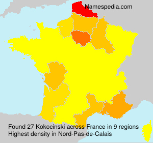 Surname Kokocinski in France