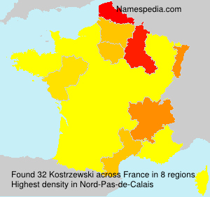 Surname Kostrzewski in France Surname Kostrzewski in France