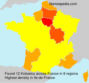 Surname Kotowicz in France Surname Kotowicz in France
