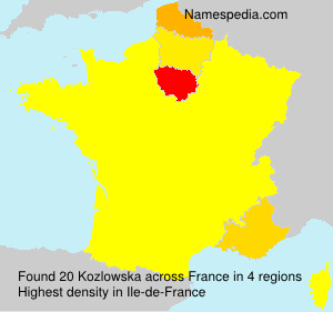 Surname Kozlowska in France
