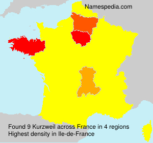 Kurzweil Kurzweil