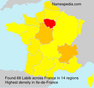 Surname Labib in France Surname Labib in France