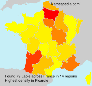 Surname Labie in France Surname Labie in France