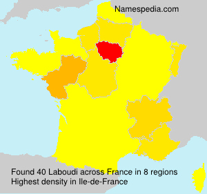 Surname Laboudi in France Surname Laboudi in France
