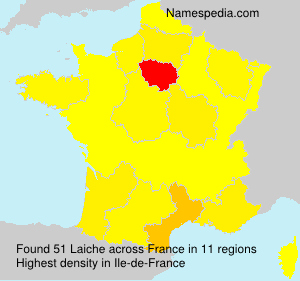 Laiche Laiche