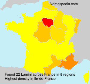 Lamini Lamini