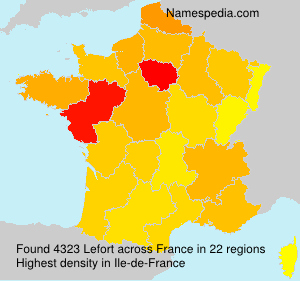 Lefort Lefort