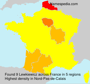 Surname Lewkiewicz in France Surname Lewkiewicz in France