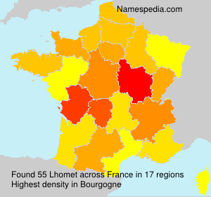 Surname Lhomet in France