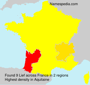 Surname Lief in France Surname Lief in France