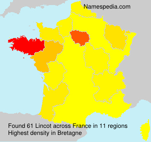 Lincot Lincot