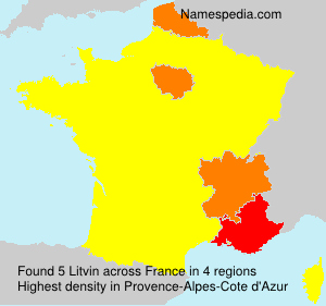 Surname Litvin in France