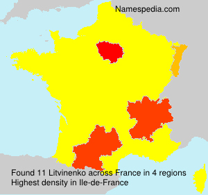 Surname Litvinenko in France Surname Litvinenko in France